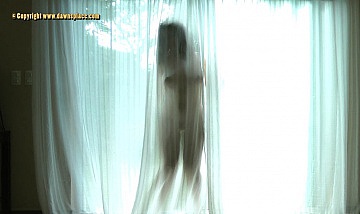 window-dance1373324536130